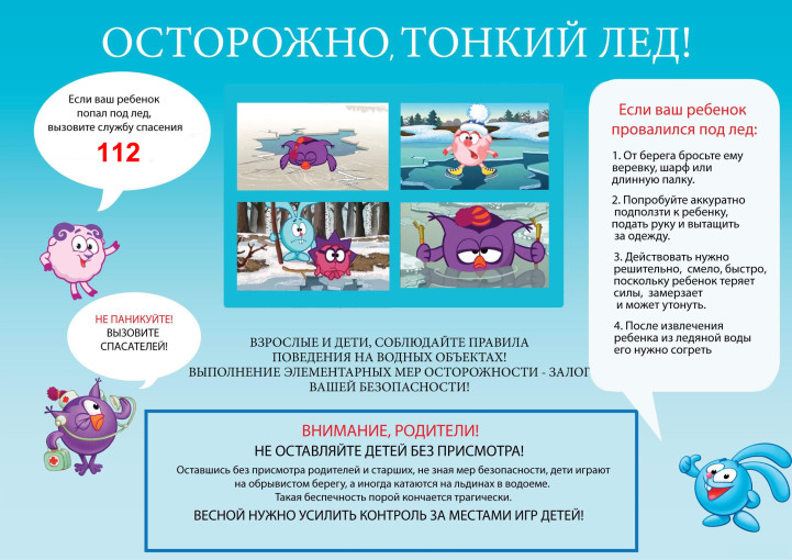 Безопасность на льду Безопасность на льду.